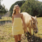 Sndys Iris Mini Dress Pollen