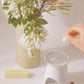 Gentle Habits This Is Incense Ritual Diffuser Oil Bondi Beach